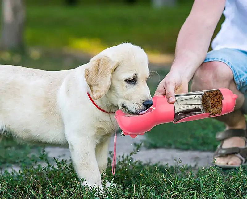 4 in 1 Portable Pet Water Bottle